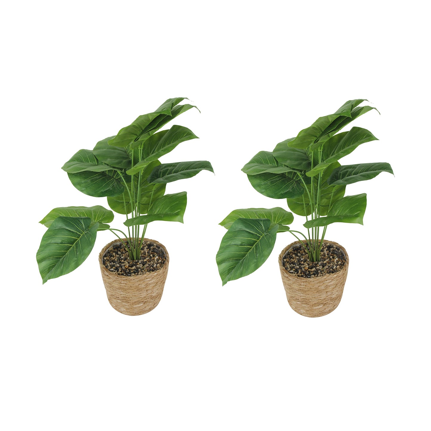 GIA Design Group Artificial Plants in Woven Basket, Elephant Ear/Fatsia Japonica