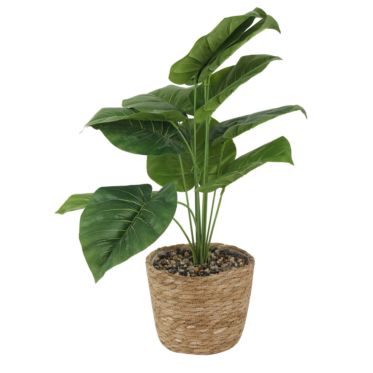 GIA Artificial Plants with Wicker Basket-Khaki